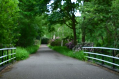 Road in beautiful green park with flowers, blurred view