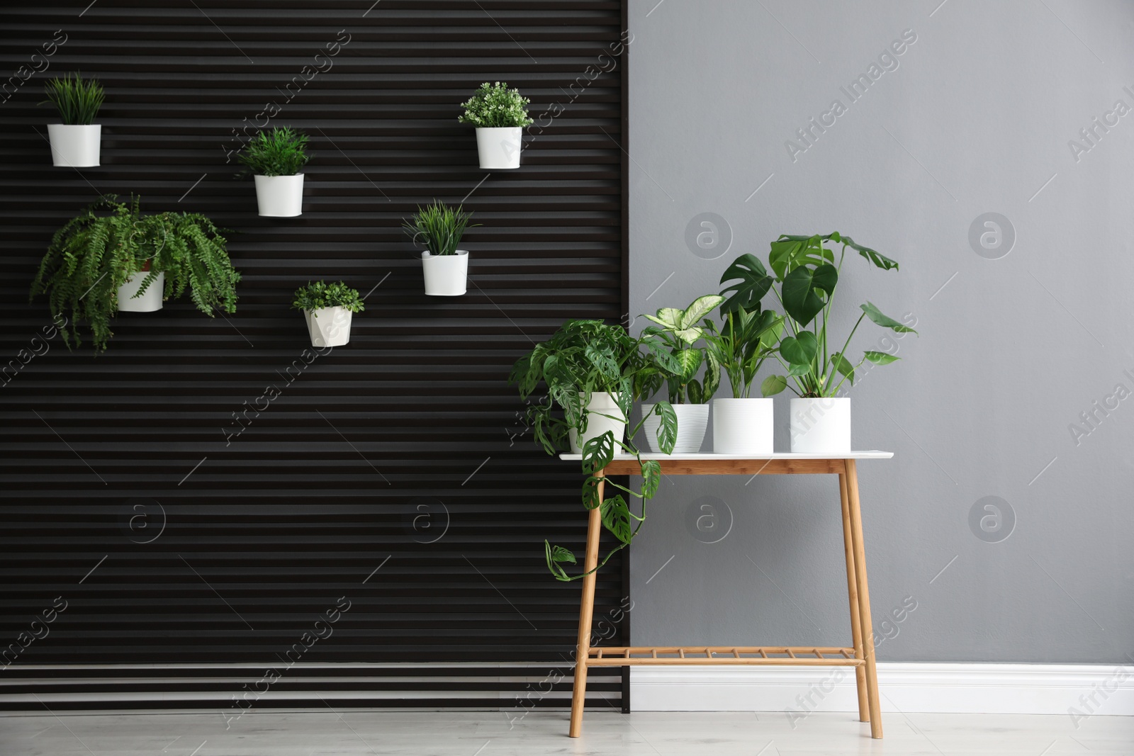 Photo of Plants on wooden table in room. Stylish interior design