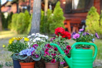 Photo of Beautiful blooming flowers and watering can in garden