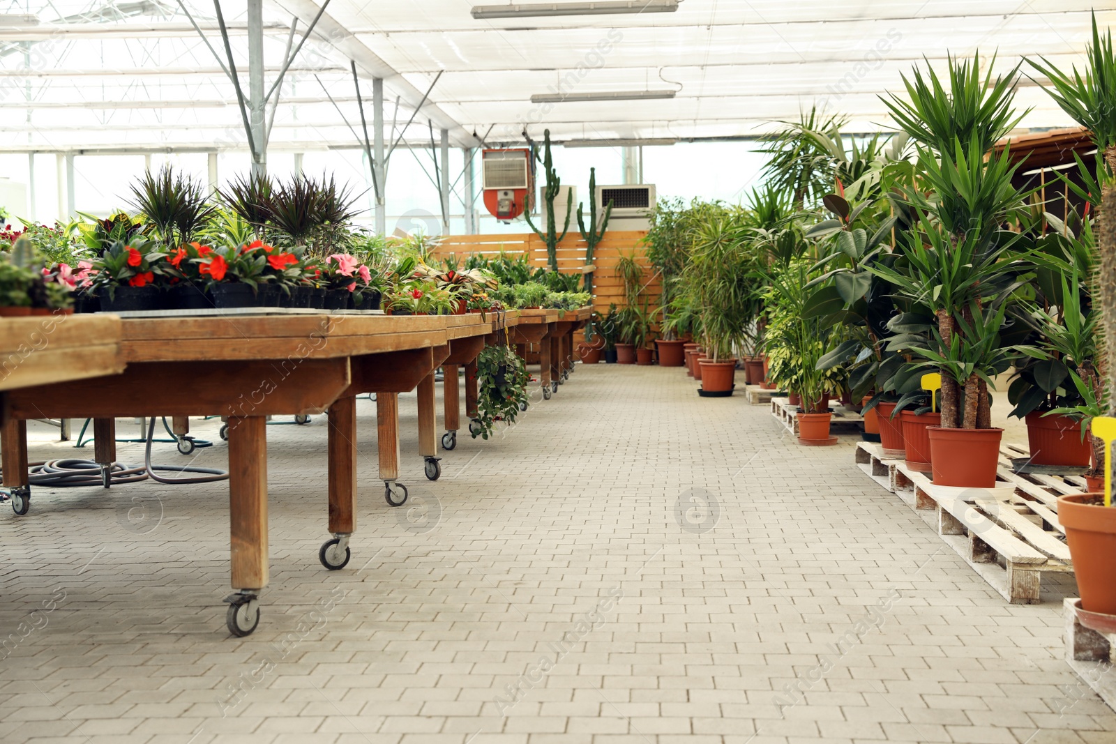 Photo of Garden center with many different potted plants