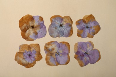 Photo of Wild dried meadow flowers on beige background, flat lay