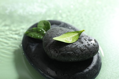 Spa stones and fresh leaves in water on light green background, closeup