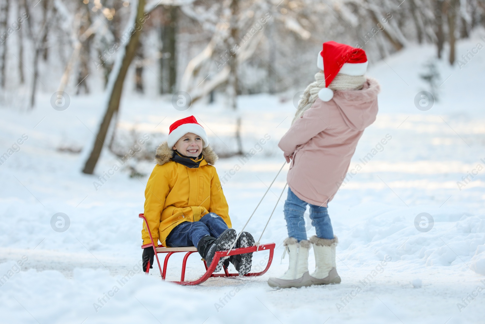 Photo of Little girl pulling sledge with her brother through snow in winter park