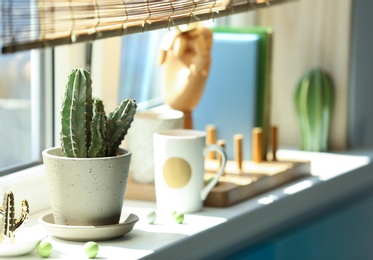 Photo of Green cactus in pot on window sill indoors. Stylish interior