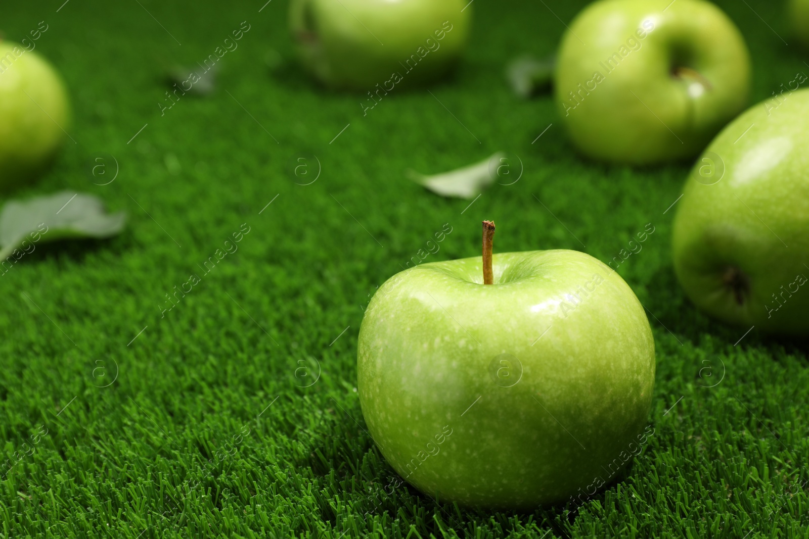 Photo of Ripe green apple on grass, closeup. space for text
