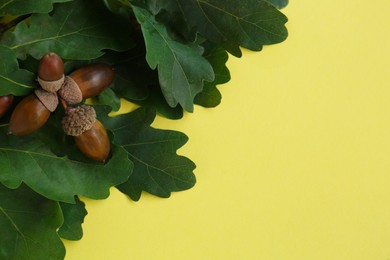Photo of Acorns and green oak leaves on yellow background, flat lay. Space for text
