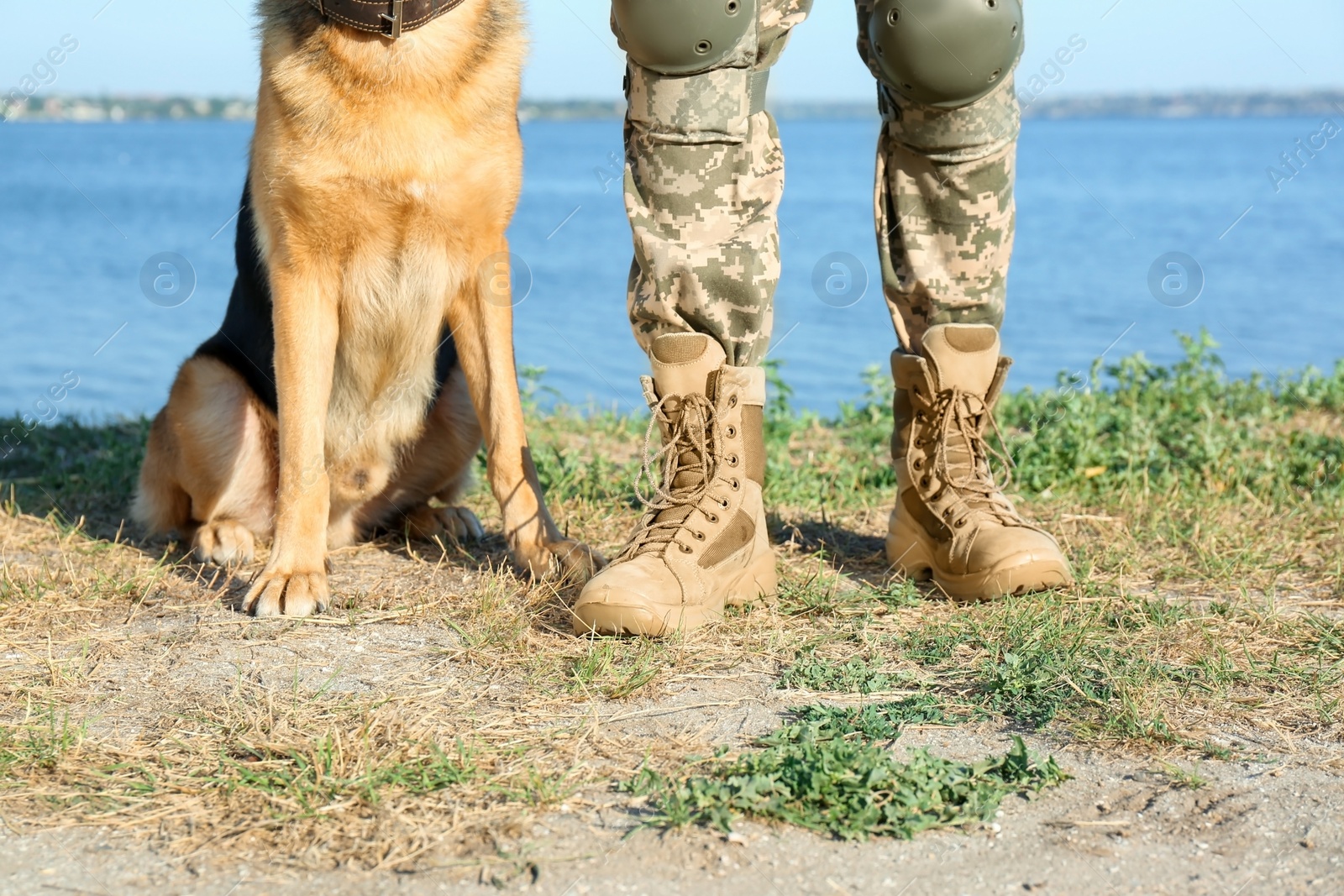 Photo of Man in military uniform with German shepherd dog near river, closeup view