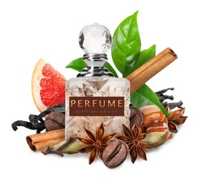 Bottle of perfume and different spices on white background