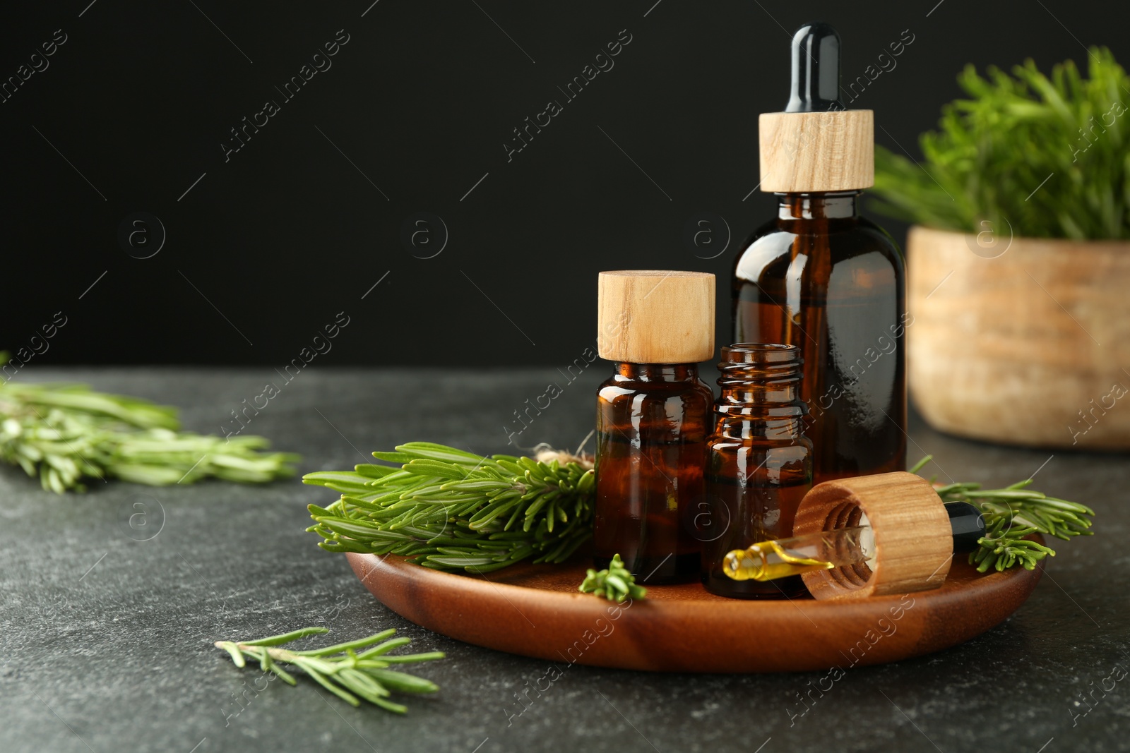 Photo of Essential oils in bottles and rosemary on gray table, closeup. Space for text