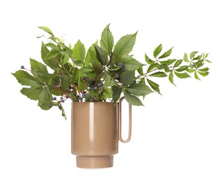 Stylish ceramic vase with green branches on white background