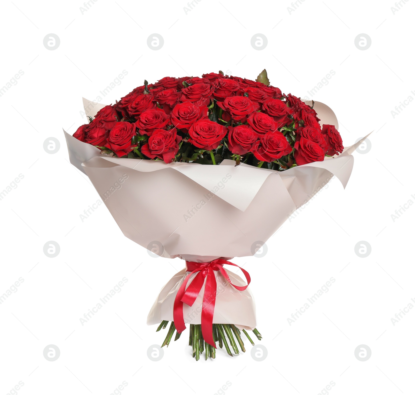 Photo of Luxury bouquet of fresh red roses isolated on white