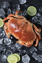 Photo of Delicious boiled crab, lime and ice on black table, flat lay