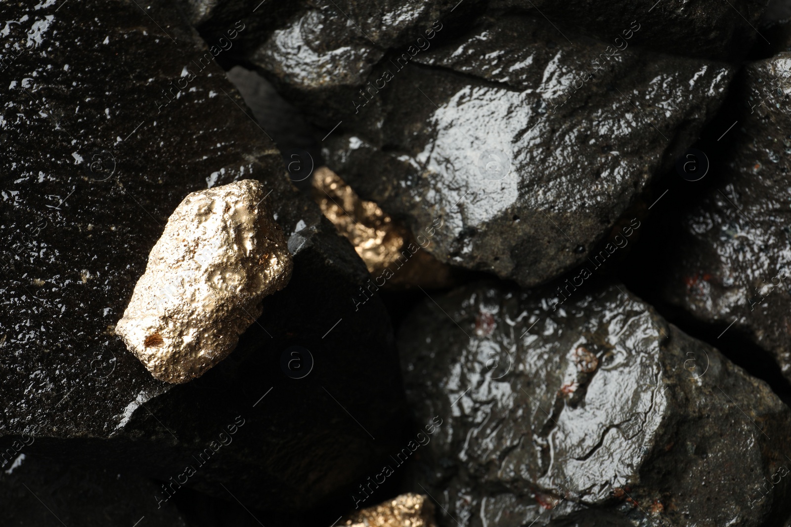 Photo of Shiny gold nuggets on wet stones, above view