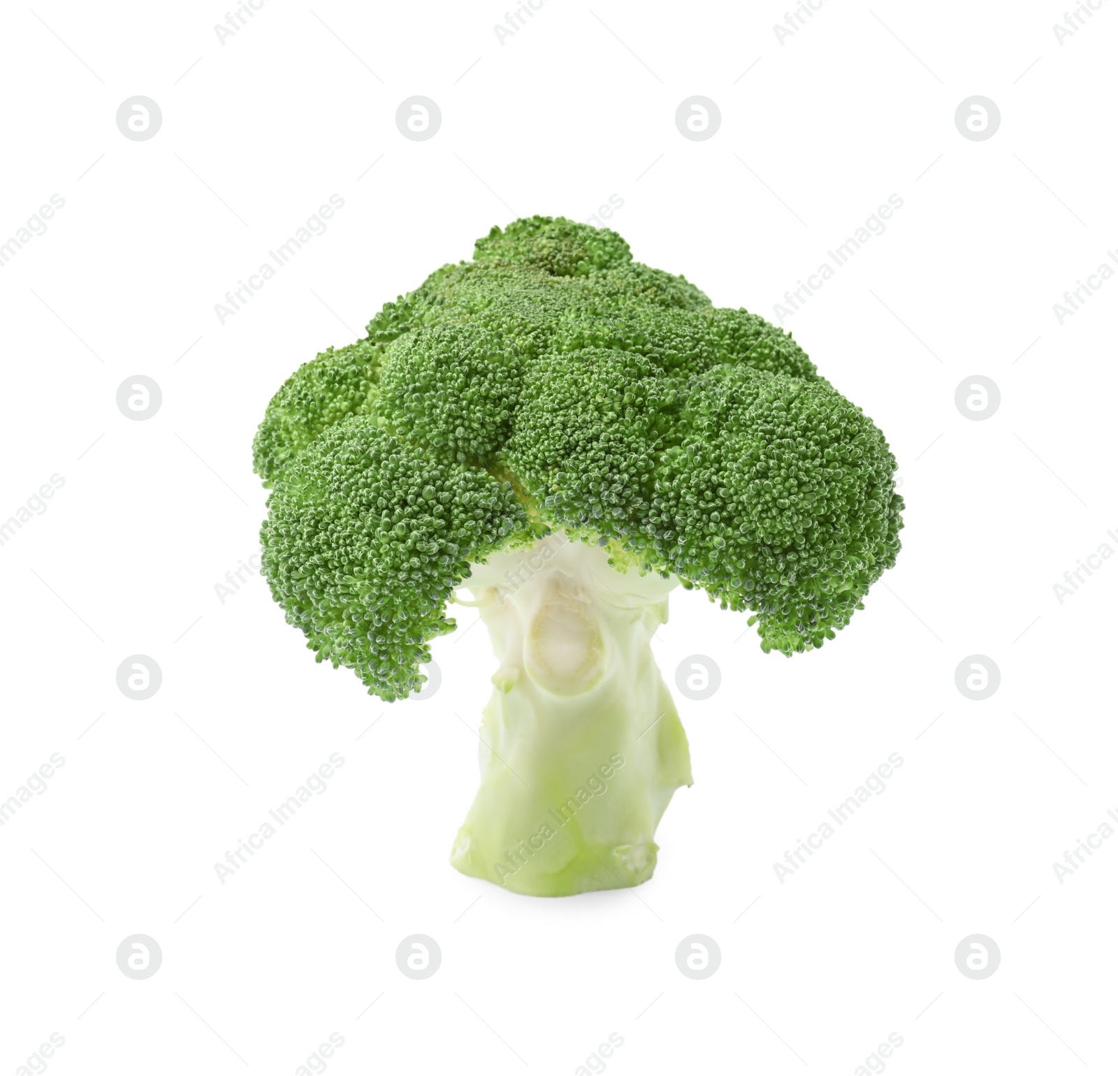 Photo of Fresh raw green broccoli isolated on white