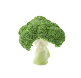 Fresh raw green broccoli isolated on white