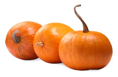 Many fresh orange pumpkins isolated on white