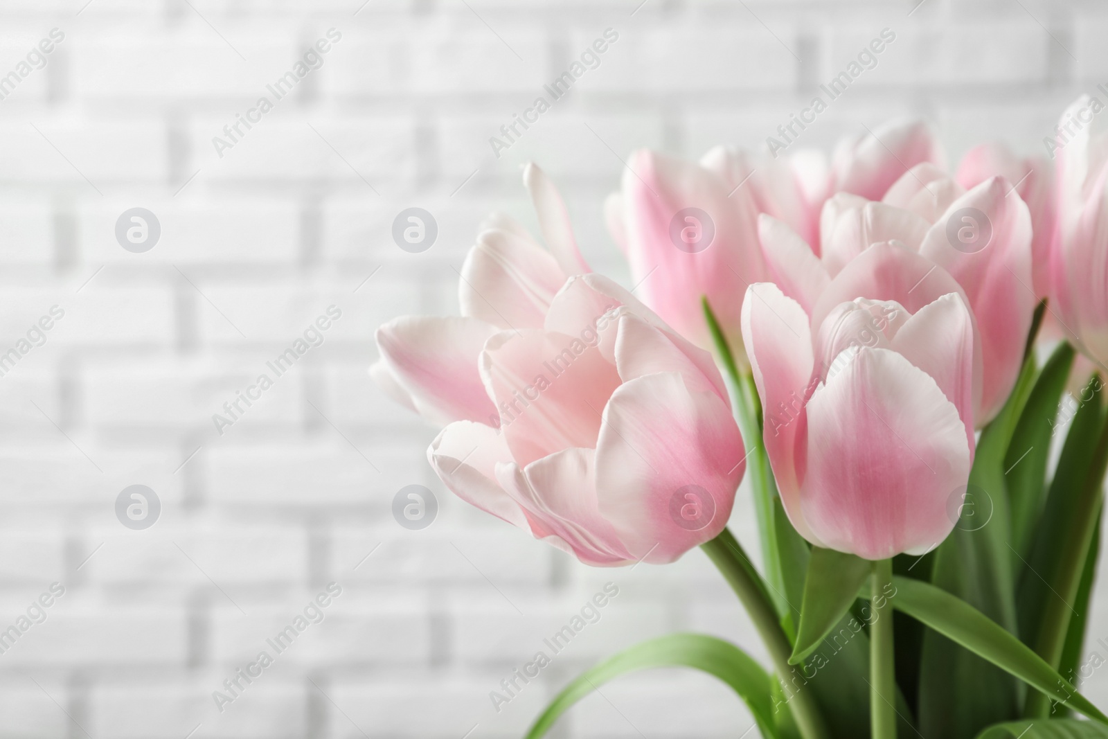 Photo of Beautiful tulips for Mother's Day on light background