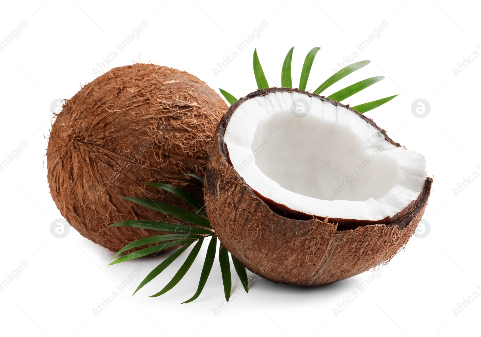 Photo of Fresh ripe coconuts with green leaves on white background