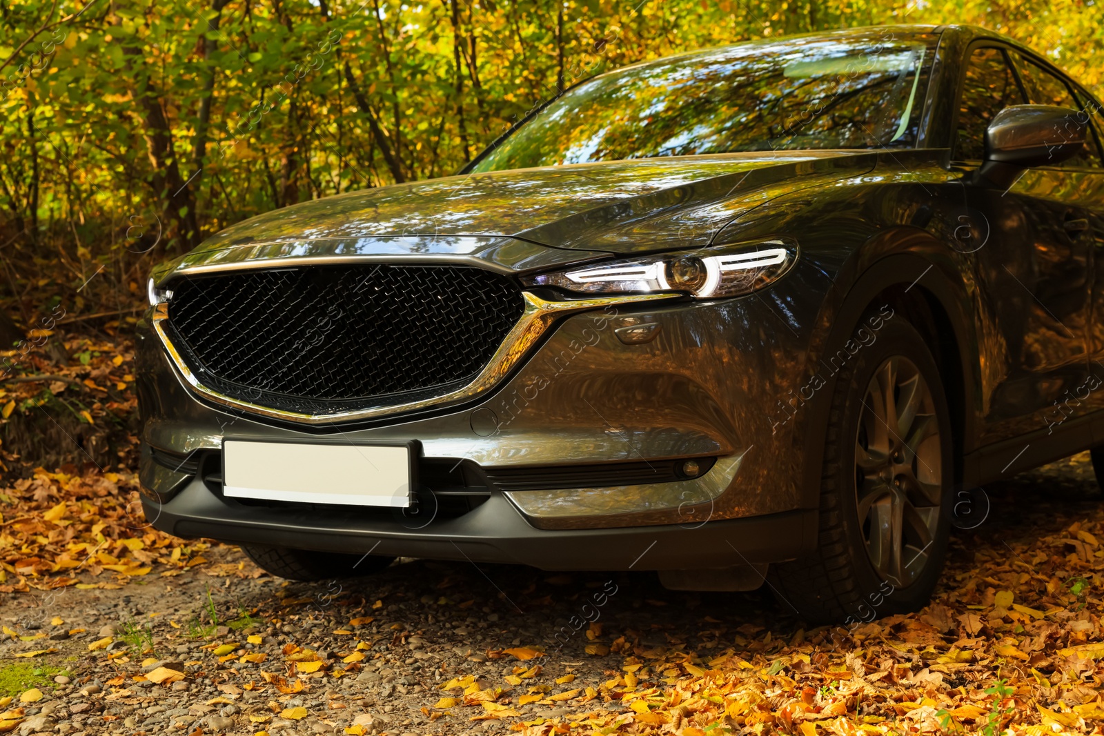 Photo of Black modern car parked in beautiful autumn forest