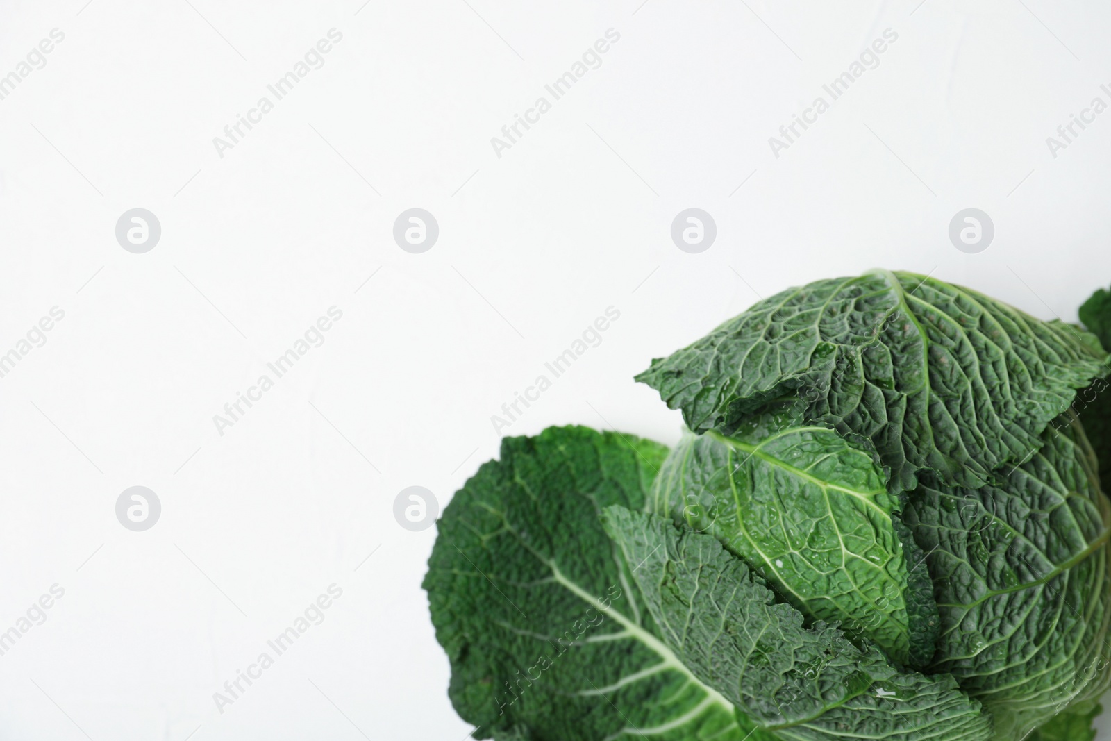 Photo of Savoy cabbage and space for text on white background, top view