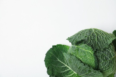 Savoy cabbage and space for text on white background, top view