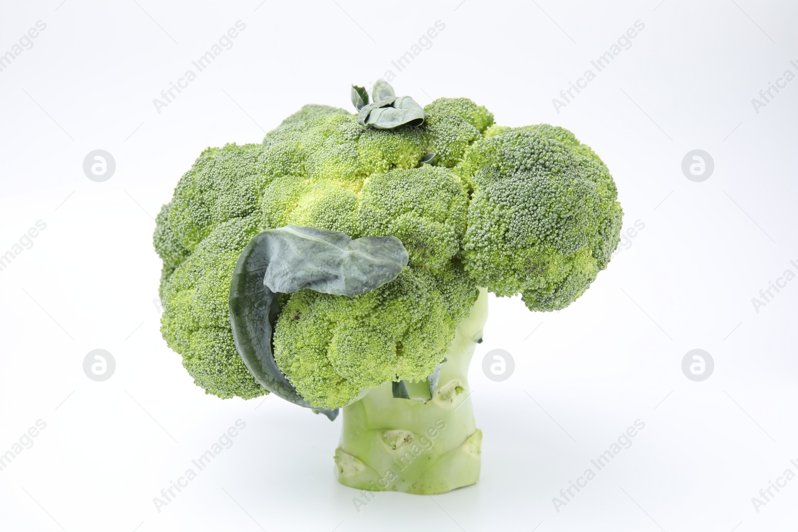 Photo of Fresh raw green broccoli isolated on white