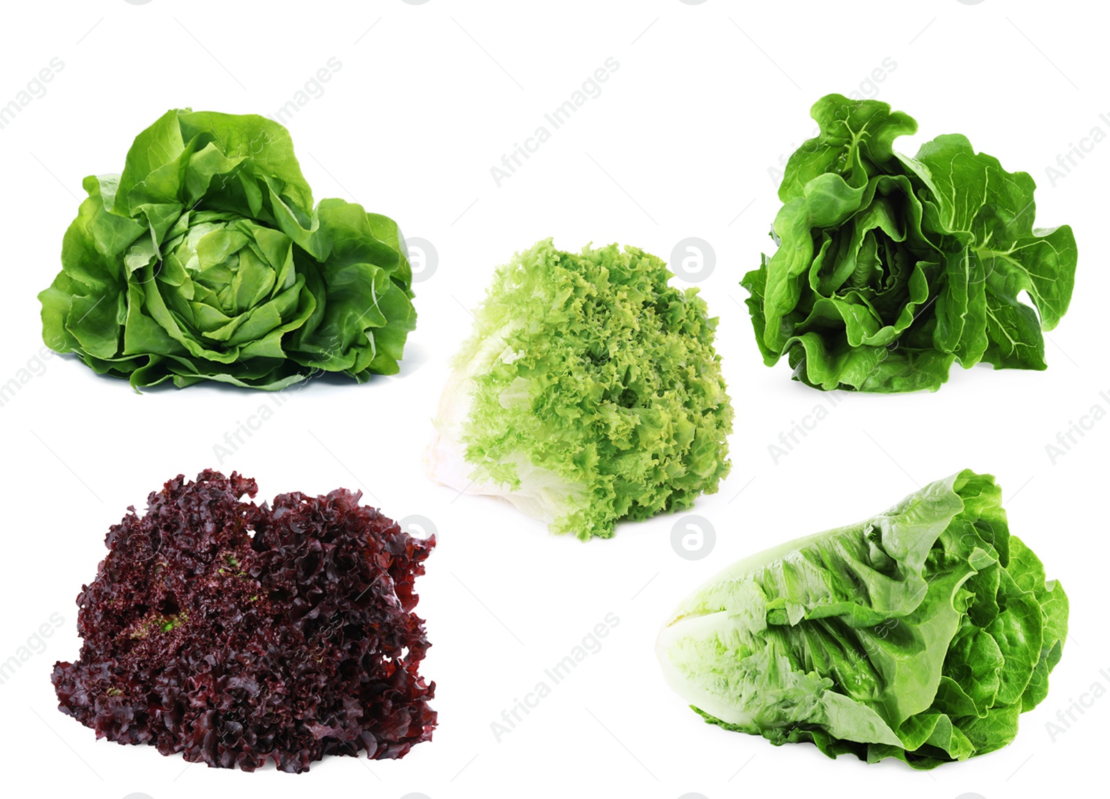 Image of Different types of lettuce isolated on white, collage design