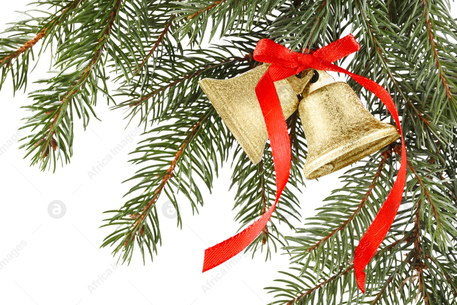 Photo of Christmas bells with red bow hanging on fir tree branch against white background