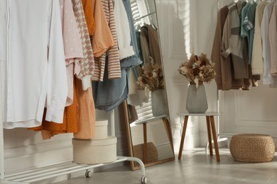 Modern dressing room interior with stylish clothes and beautiful dry flowers