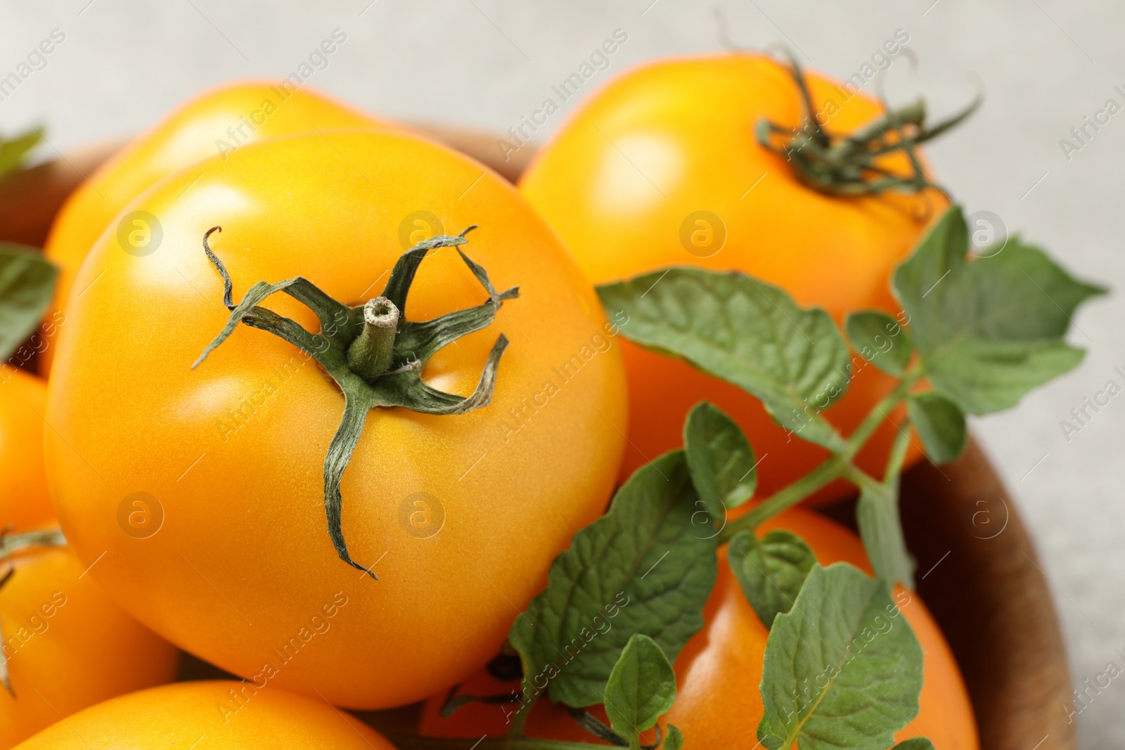 Photo of Fresh ripe yellow tomatoes with leaves in wooden bowl, closeup