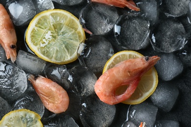 Photo of Flat lay composition with shrimps, lemon slices and ice cubes on dark background