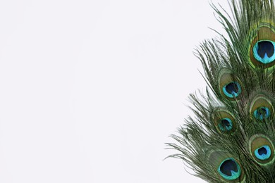Photo of Beautiful bright peacock feathers on white background