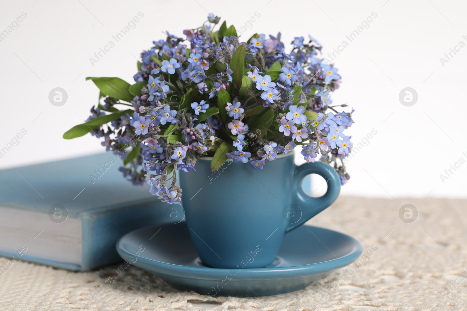 Photo of Beautiful forget-me-not flowers in cup, book and crochet tablecloth on table against white background, closeup
