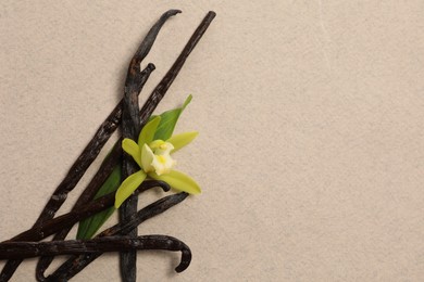Photo of Vanilla pods, beautiful flower and green leaf on beige background, top view. Space for text