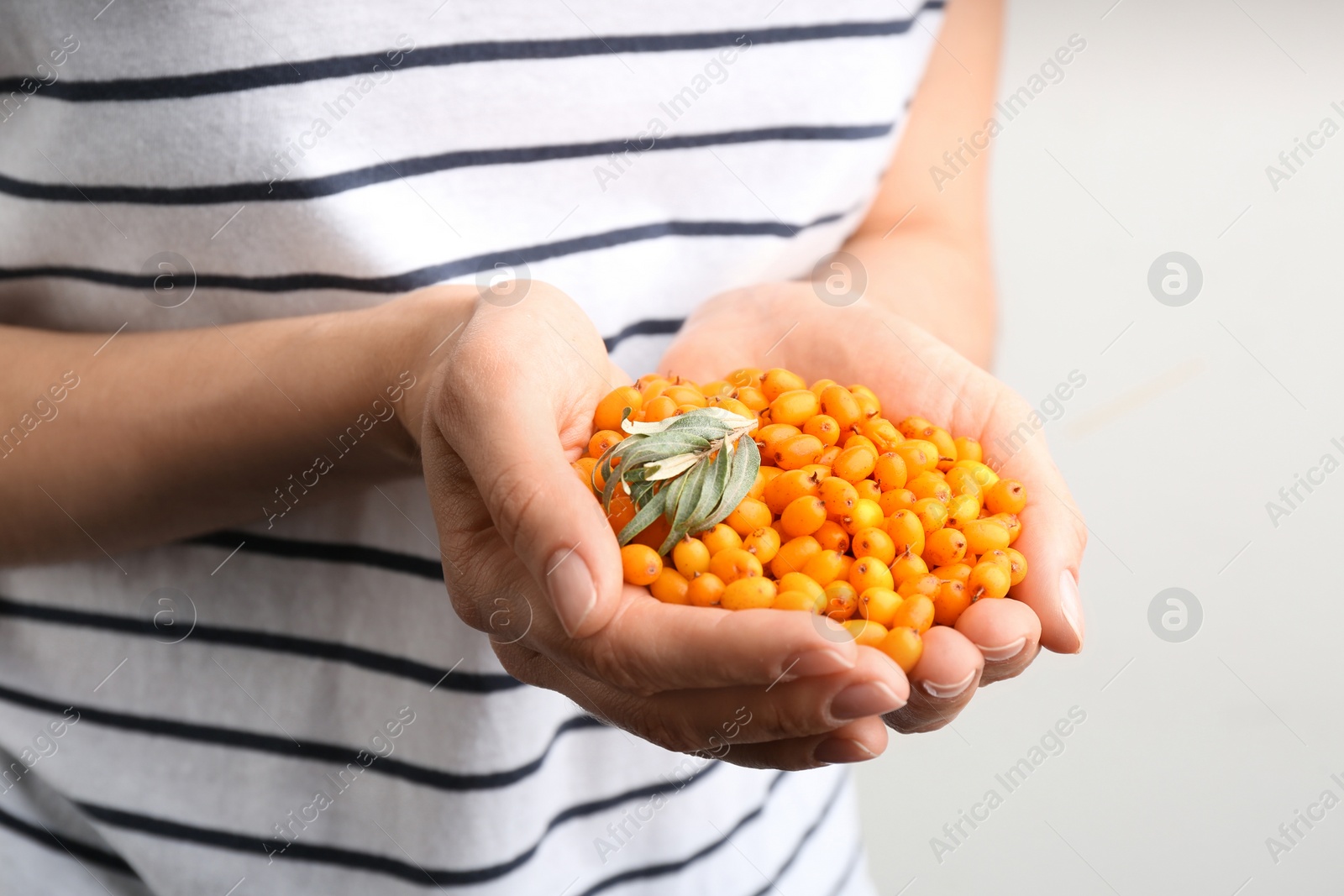 Photo of Woman holding fresh ripe sea buckthorn on light background, closeup