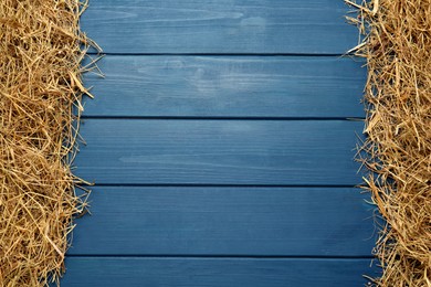 Photo of Dried hay on blue wooden background, flat lay. Space for text