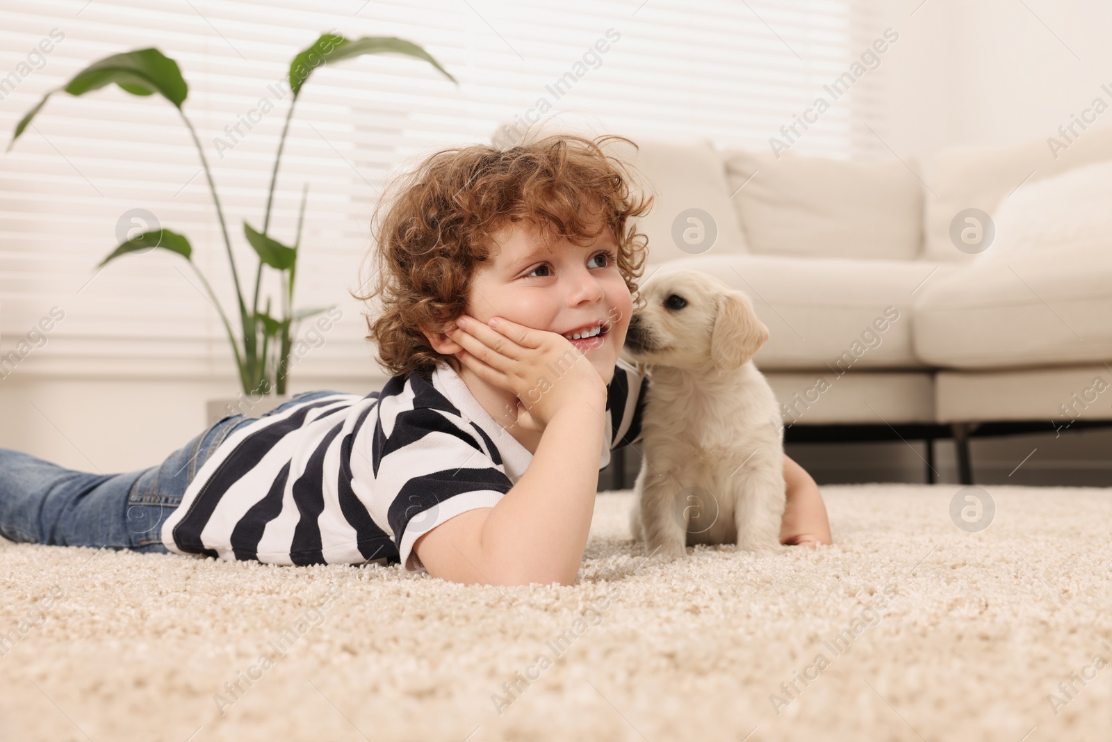 Photo of Little boy with cute puppy on beige carpet indoors