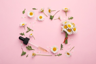 Flat lay composition with chamomile flowers and pipette of essential oil on color background. Space for text