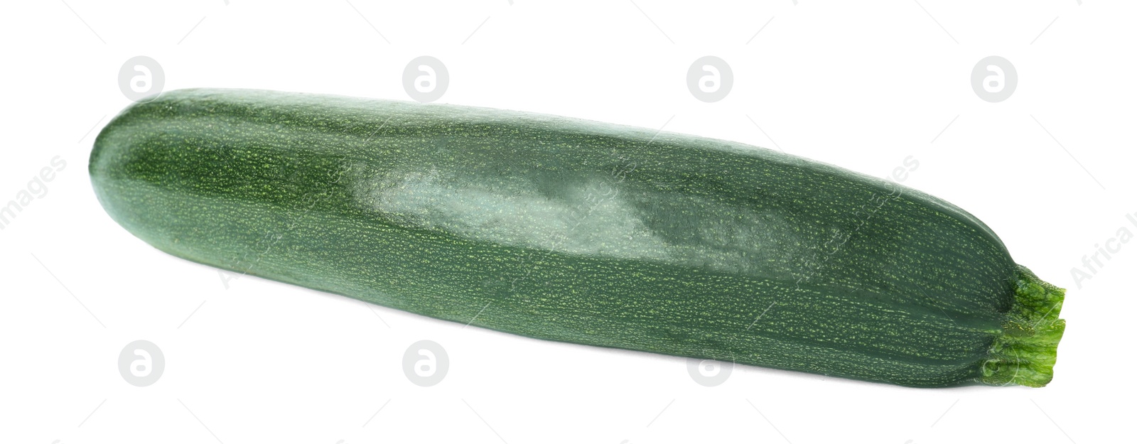 Photo of Raw green ripe zucchini isolated on white