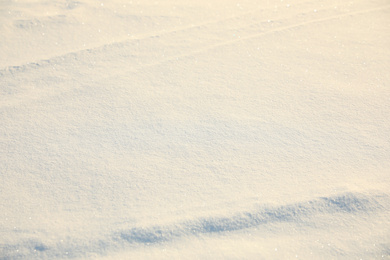 Beautiful fluffy snow on sunny winter day