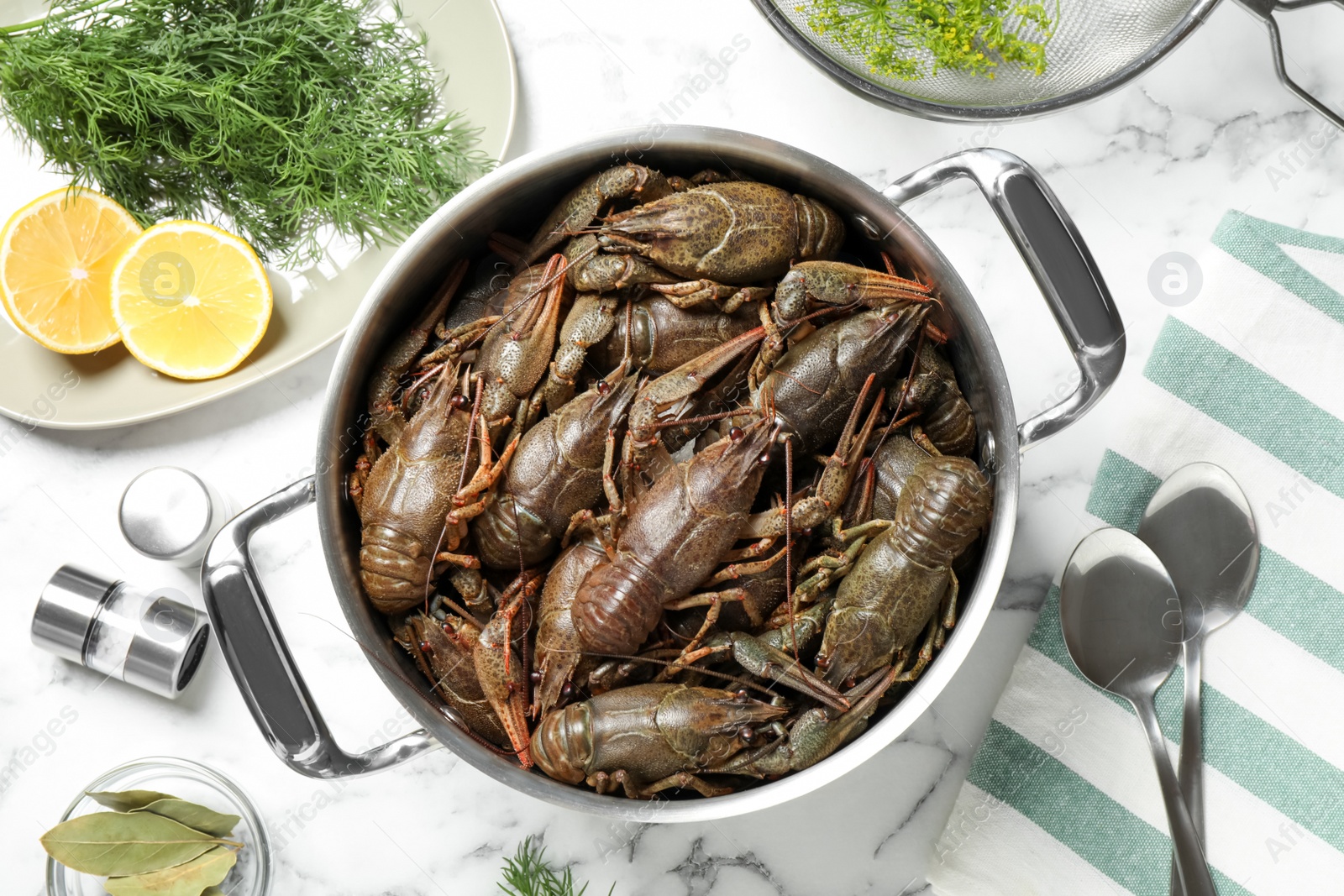 Photo of Fresh raw crayfishes in pot on white marble table, flat lay