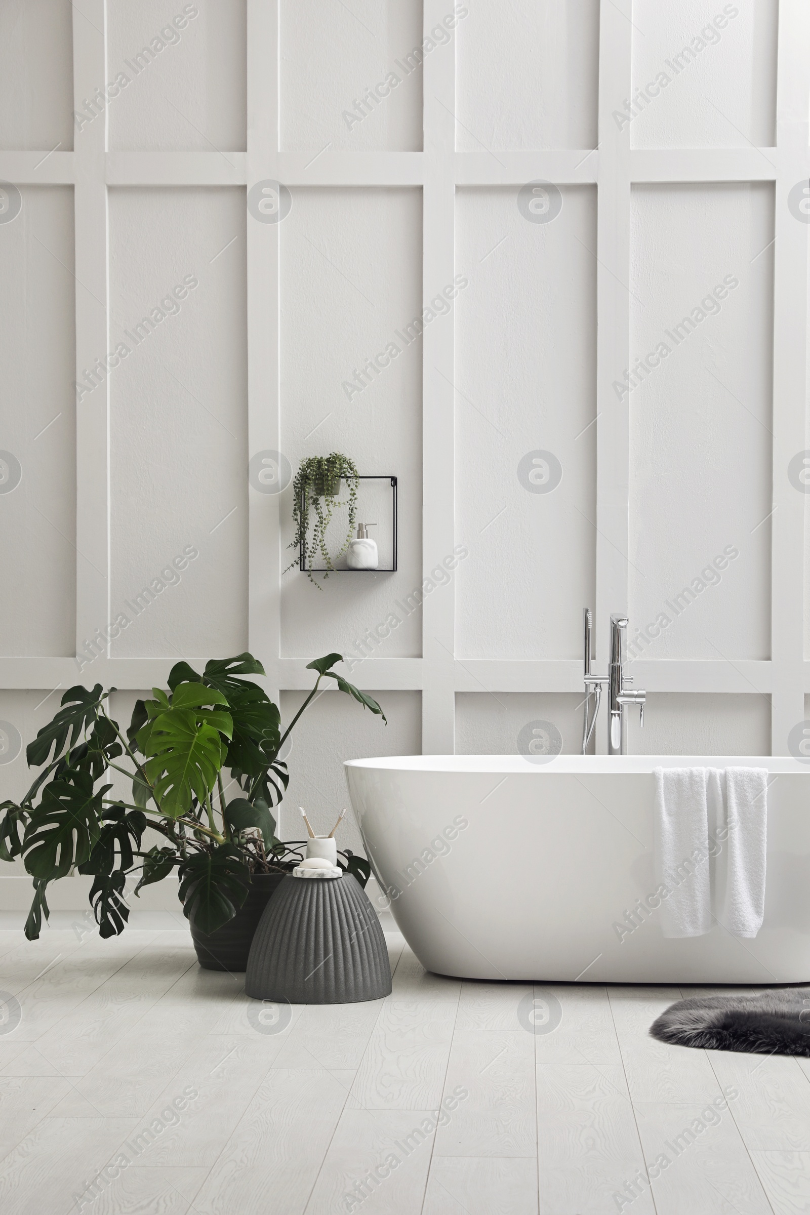 Photo of Modern ceramic bathtub and green plant near white wall indoors
