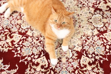 Cute ginger cat lying on carpet with pattern, above view