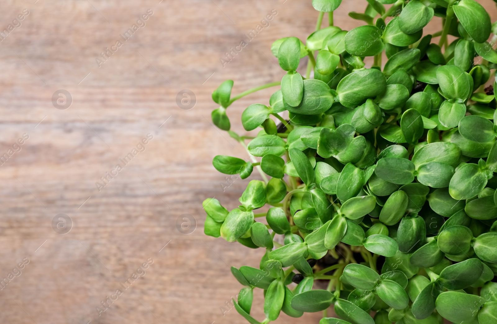 Photo of Fresh organic microgreen on wooden table, top view. Space for text