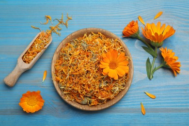 Dry and fresh calendula flowers on light blue wooden table, flat lay