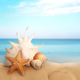 Image of Starfish and shells on sandy beach near sea, space for text