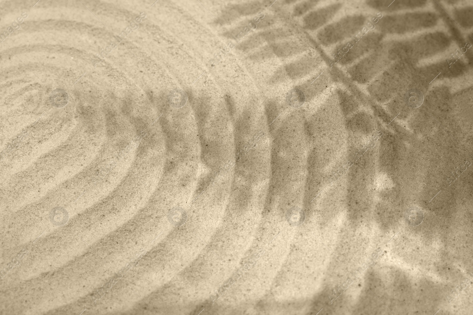 Photo of Beautiful lines and shadows of leaves on sand. Zen garden