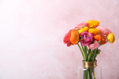 Photo of Beautiful fresh ranunculus flowers in vase on color background, space for text