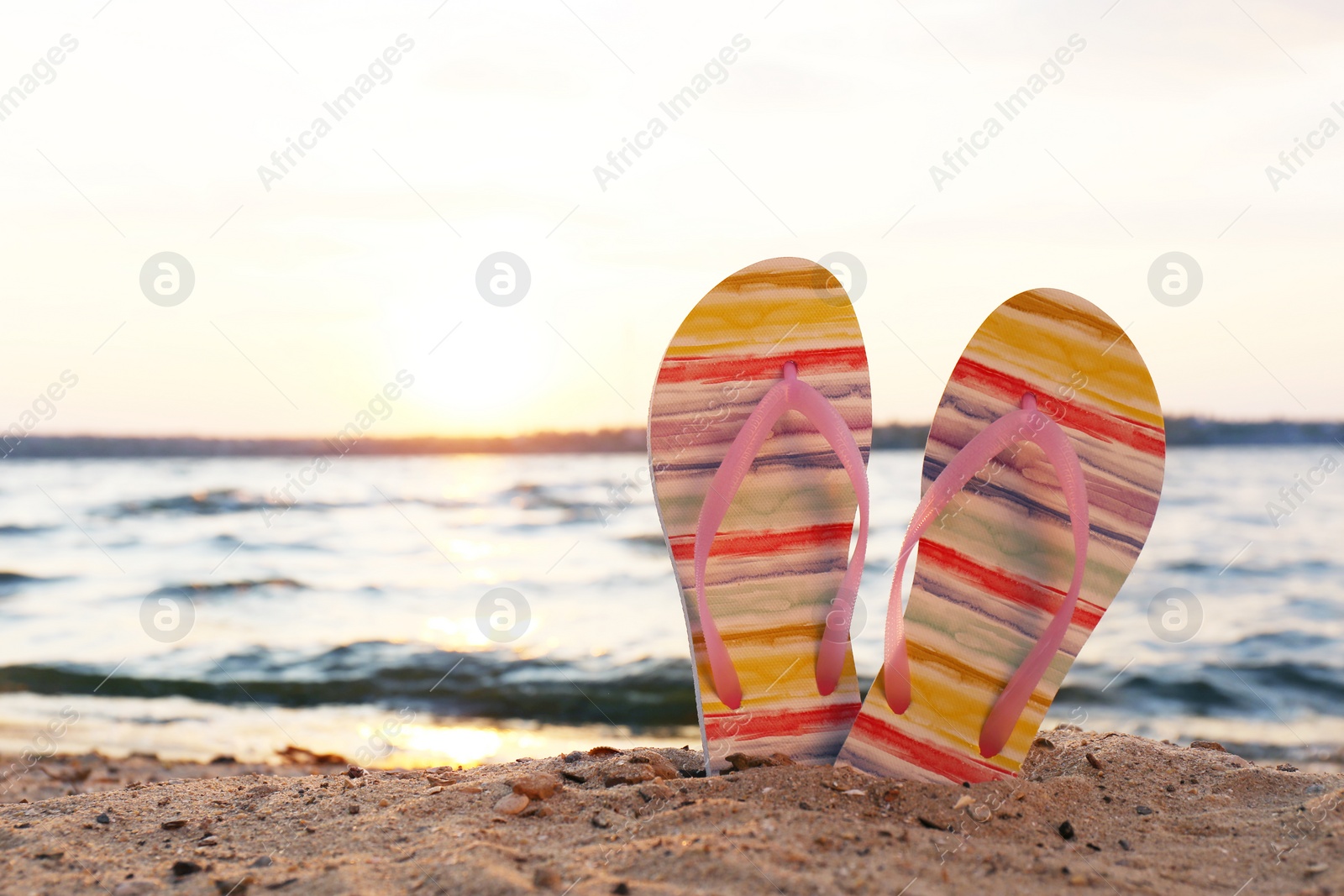 Photo of Stylish flip flops on sand near sea, space for text. Beach accessories