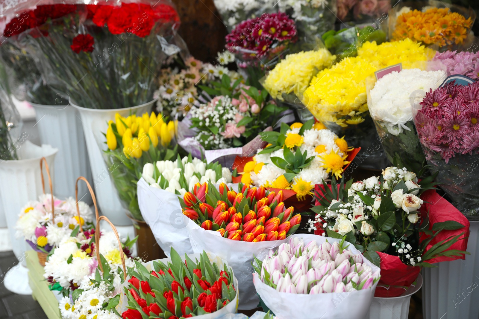 Photo of Assortment of beautiful flowers at wholesale market